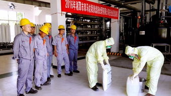 湘潭市双马垃圾渗滤液处理厂接受市容环卫专业组检查