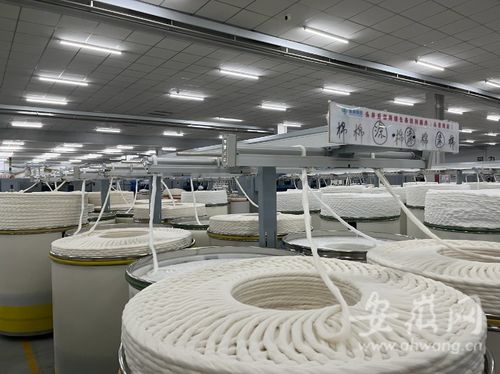 政协江淮行 安庆宿松 促进现代纺织服装业高质量发展