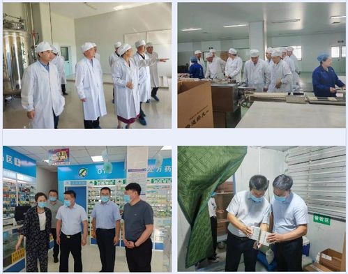黑龙江省药监局第三督导组深入齐齐哈尔市 大兴安岭地区开展药品安全专项整治督导检查