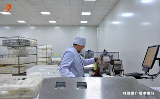 国家棉花及纺织服装产品质量监督检验中心新疆工作站成立
