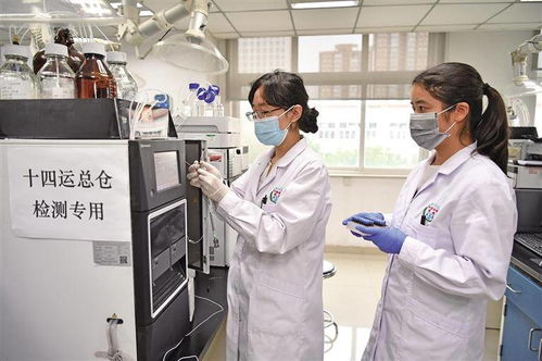 十四运会食品安全与纺织品服装质量监督检验升级