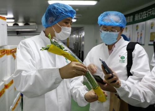 永辉彩食鲜媒体开放日 中央工厂保障全链条食品安全与纺织品服装质检